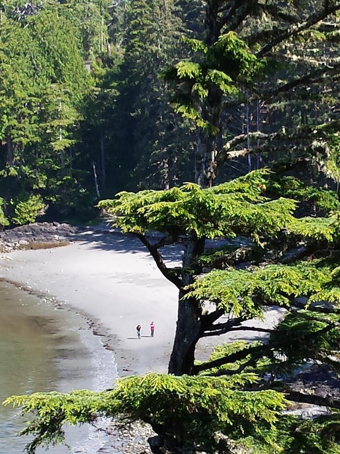 Odyssey Shores Guest Suite Ucluelet Bagian luar foto