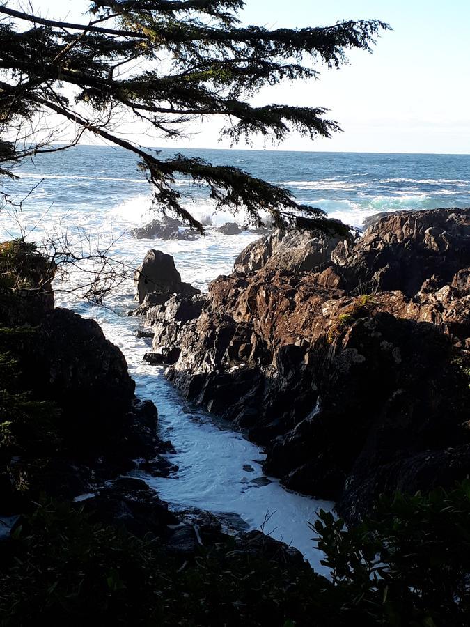 Odyssey Shores Guest Suite Ucluelet Bagian luar foto