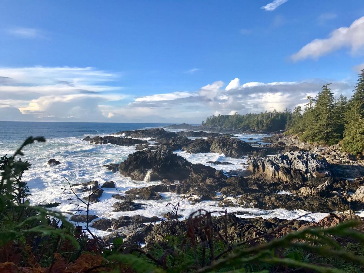 Odyssey Shores Guest Suite Ucluelet Bagian luar foto