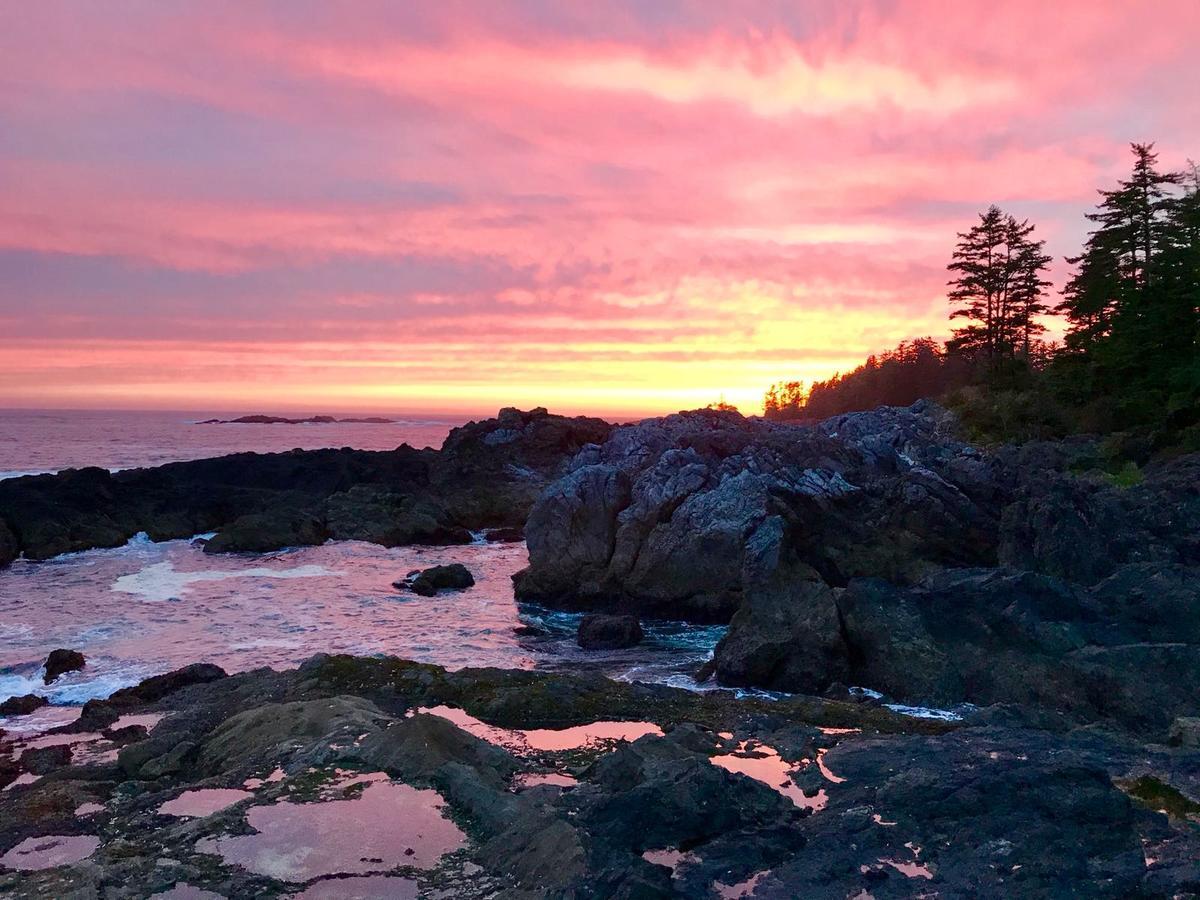 Odyssey Shores Guest Suite Ucluelet Bagian luar foto