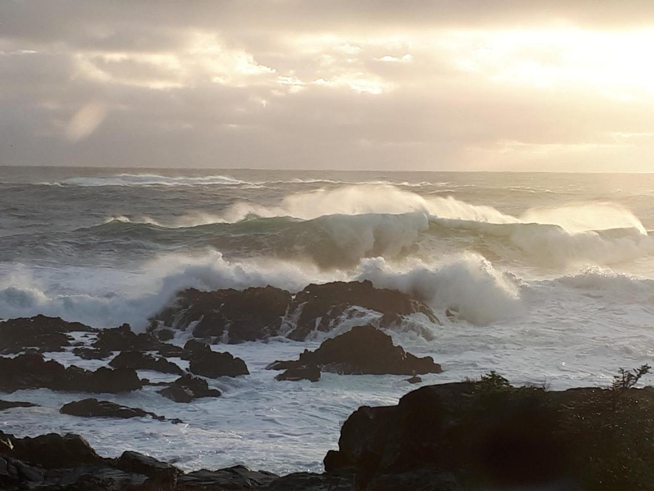 Odyssey Shores Guest Suite Ucluelet Bagian luar foto